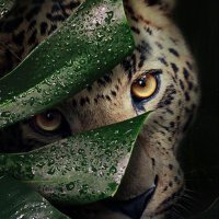 gordon gorgon (@gordogon163) 's Twitter Profile