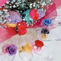 Natu (@natu72113699) 's Twitter Profile