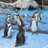 toki_202302