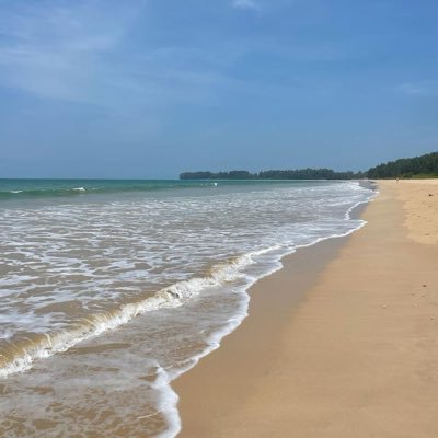 eri_wiwi's profile picture. - Africa is moving ! Too Asian to be African and too African to be Asian 🐼