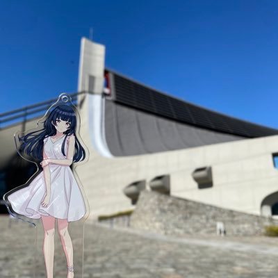 しらぎさんのプロフィール画像
