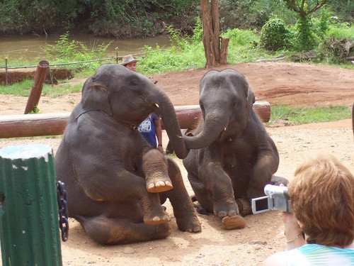 eastcoastEHN's profile picture. 