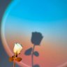 zhuqiqi7777's profile picture. 只想撸毛养家