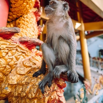 Toni16637019646's profile picture. 