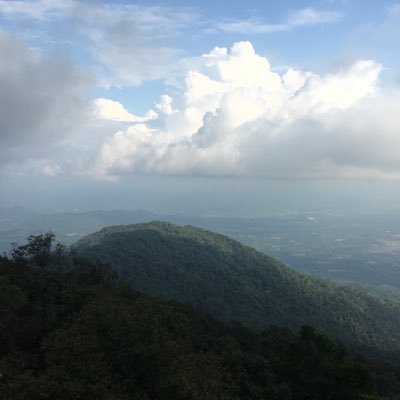 SuneeratPr's profile picture. 