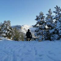 Alparslan AYAY (@alparslan_ayay) 's Twitter Profile