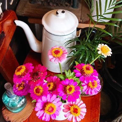山梨県🇯🇵🗻甲府盆地民🍑🍇女一人旅📸カフェ巡り☕昭和レトロ喫茶店💎ラーメン🍜グルメ🍛スイーツ🍰旅行が好き✈️温泉♨️ドライブ🚙田舎の風景🍀たまに東京🗼気分屋💫人見知り👤仲良し家族❤猫🐱ほぼ時差投稿⏰メインはInstagram✳️返信しません︎︎⚠️イイネはたまに👍変な人は即ブロック🆖