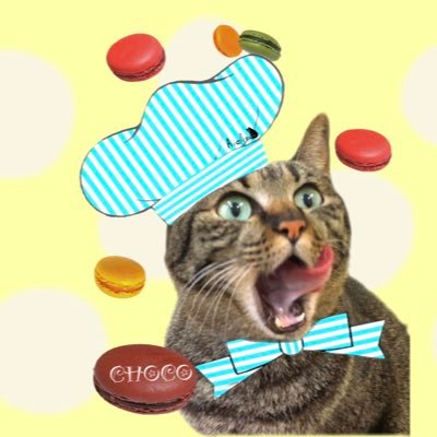 保護猫カフェ あいきゃっとさんのプロフィール画像