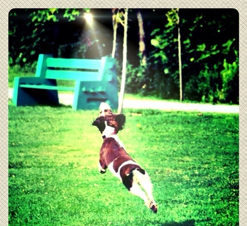 bail42's profile picture. 