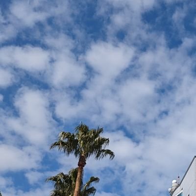 omohitubu's profile picture. 好きなこととか、感想とか気ままに呟きます。だいたいドラマか舞台か、可愛いもののこと。気がすぐ変わるので話も行ったり来たりしがち🐥