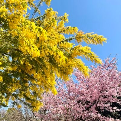 江東区在住/湾岸エリア/2児の母/おでかけ/ｷﾗｷﾗとは無縁の民/情報収集と懸賞用/誤字脱字多め