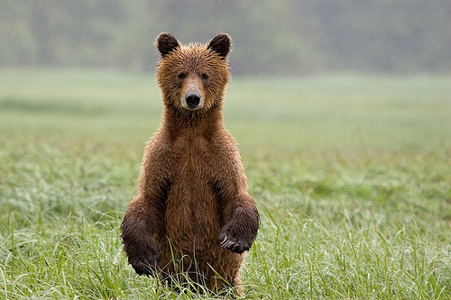 lilacdaffodil's profile picture. I am not crazy...I am just very selective about the reality I choose to accept.