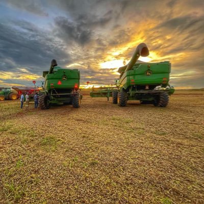 Periploseperi's profile picture. Conservadora, Agropecuarista, Patriota, Católica e @santosfc Detesto Relativismo! 🇧🇷🇦🇴🇵🇹