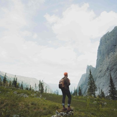 ToccaraHervig's profile picture. 