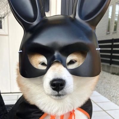 GSC_CapitalNews's profile picture. NFT迷途小书童