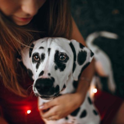 JefferisSc97762's profile picture. Twitter ninja. Beer expert. Social media maven. Web enthusiast. Internet trailblazer.