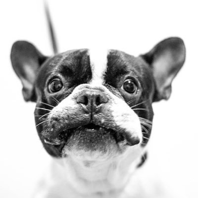 yh567891's profile picture. 