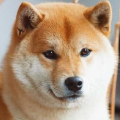 Pretty fly for the DeFi. Crypto enthusiast, knowledge acquisition of the digital future.