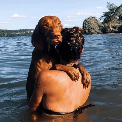 ChaplesTyr87719's profile picture. Hardcore explorer. Hipster-friendly music fanatic. Evil coffee scholar. Passionate tv advocate.