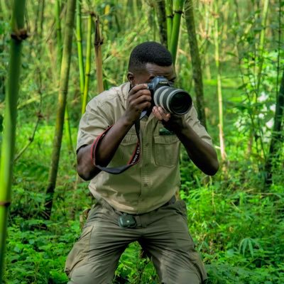 Join me on Safari | Guided wildlife and Photographic Safaris | Freelance Guide| Leading @GorillasLtd Trekking in the region |