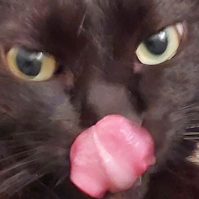 けんけん@tamapro (@Kenxxth2) / Posts / X