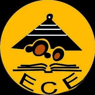 ECE is a not-for-profit organization working on the well-being and healthy development of infants and children.