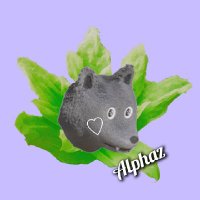 ふきのとう🐺 (@fuki_alphaz) Twitter profile photo