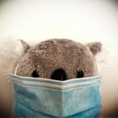 I am a European Koala Bear. 🐨
#SaveTheKoala
 #PCgamer #RetroGamer #Hacktivism #Freedom #FBPE
Also, give me eucalyptus. F*** Brexit!☮️💙🐨