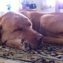 Helle Jensen - @JensenHelle - Twitter