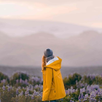 MalcomOllm72570's profile picture. Communicator. Devoted analyst. Introvert. Tv enthusiast. Unable to type with boxing gloves on.