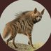 Hyena 💫🥂✨ (@Hyena_Hyena1) Twitter profile photo
