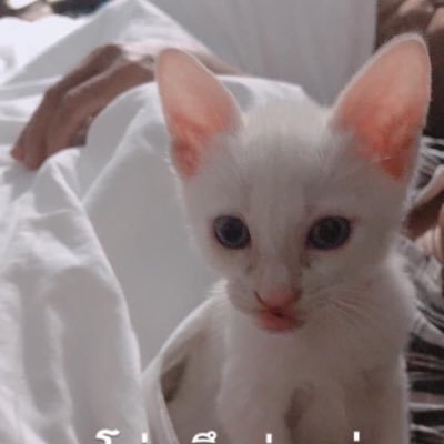 ไม่ต้องเก่งที่สุดในโลกหรอก ขนาดเก่งแค่นี้ยังรักที่สุดในโลกเลย :—) @bbrightvc ˚ ༘♡