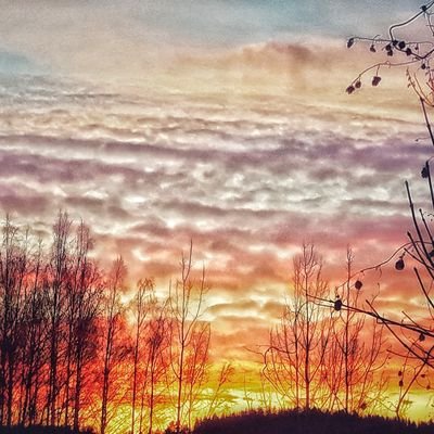 Sanon, kun kysytään. Ja vaikka ei kysytä, niin sanon. Täydellisen puolueuskoton.