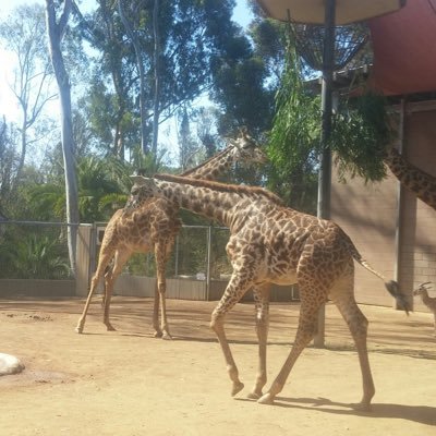 jeffbingham382's profile picture. 