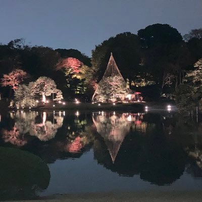 bhwO7mVgQ667972's profile picture. 
