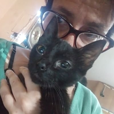 Diseñadora Gráfica, Docente, Administración de Empresas, Liquidación de Sueldos.
Amo a los animales, más a los gatos :)
No tolero las injusticias