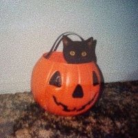 pumpkin(@hannhyu) 's Twitter Profileg