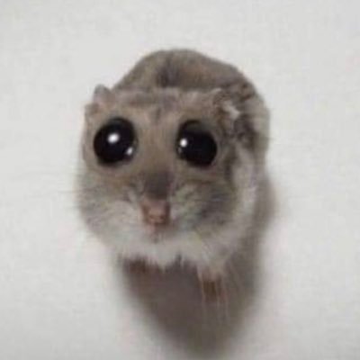 pene76818355's profile picture. 