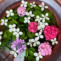 彩衣 (@iroi_1507) Twitter profile photo