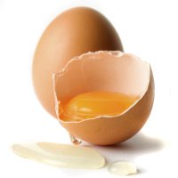 ballbustinguk (@ballbustinguk21) 's Twitter Profile