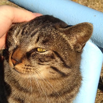 mothessmaster's profile picture. RiRiとLuLa による、意思を持つ2体のマネキン・ラップ・デュオ、@FEMM____
に意思を持っていかれたオジサンです(ー_ー)!!　　　　　
I'm  an Agent😎