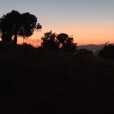 AlqallabJordan's profile picture. It's okay to make a mistake, as long as you learn from it.