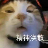 Pure (@crawlonbed) Twitter profile photo