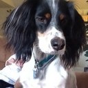 Robyn Ferris - @RobynAndrea - Twitter