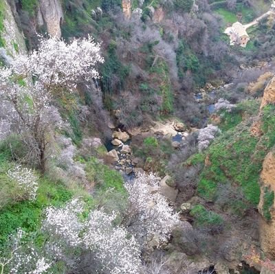 GlavSol's profile picture. 바람의 흔적처럼...