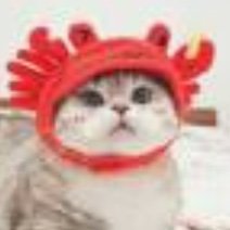 tacochillie's profile picture. .