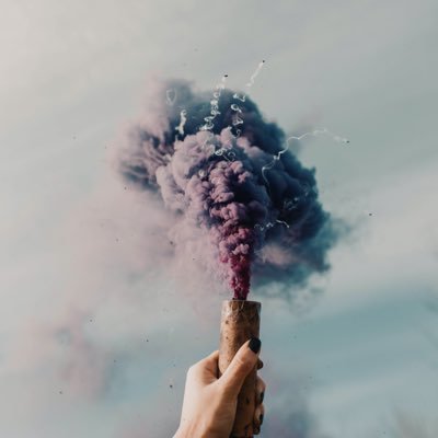 ocean_greenn's profile picture. 🍀 ʕ •ᴥ•ʔ