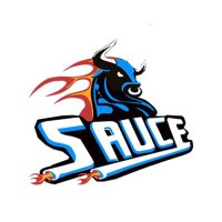 Sauce Esport (@sauce_esport) 's Twitter Profile