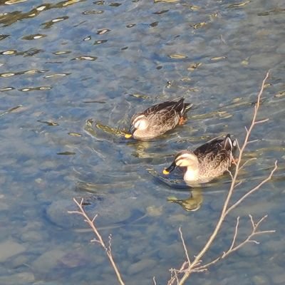 SHIROIDOG2020's profile picture. BTSの写真📸やニュース、情報用✨
バンタン💜大好き~~~!

💜BTS💜💜ARMY⁷⟬⟭💜 @BTSLOVE2022