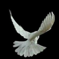 مـتـاهـات| فُصحى (@binding2005) 's Twitter Profile